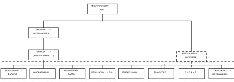 Gambar 2.1. Struktur Organisasi PT. Socfin Indonesia Tanah Besih 