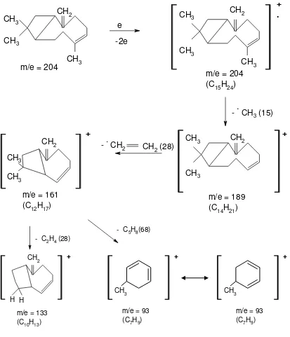 Gambar 4.7. Pola Fragmentasi senyawa Trans-Kariofilen (C15H24) 
