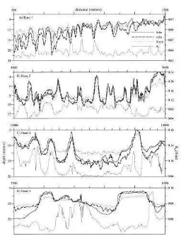 Fig. 6. Detailed profiles of depth (meters) and blue reflectance,Rw (blue). Tick marks on all graphs mark 100-m distance
