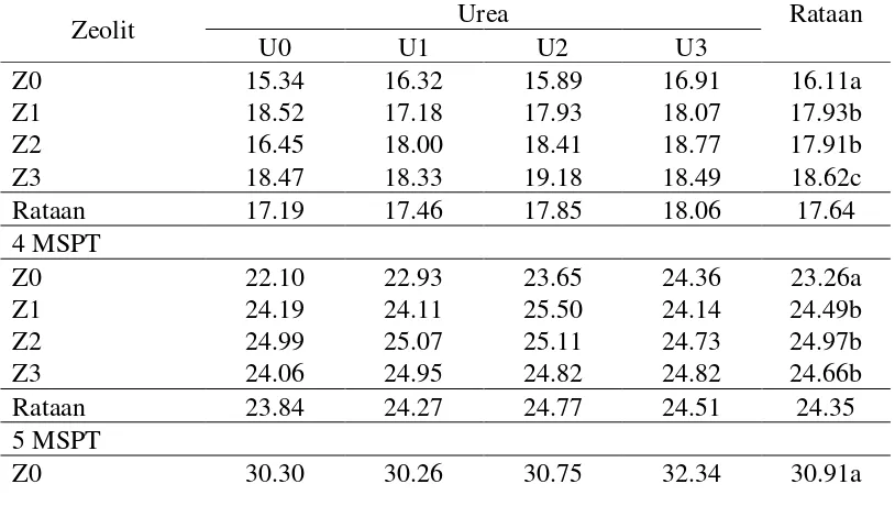 Tabel 1. Rataan tinggi tanaman sawi (cm) pada umur 3-6 MSPT pada perlakuan zeolit dan dosis pupuk urea 