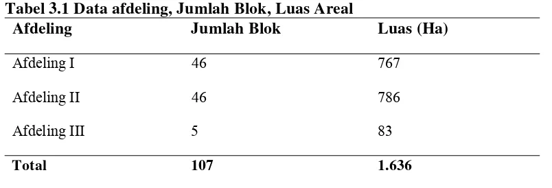 Tabel 3.1 Data afdeling, Jumlah Blok, Luas Areal 