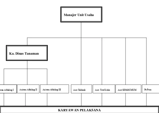 Gambar 4.1 Struktur Organisasi Unit Bah Birung Ulu 