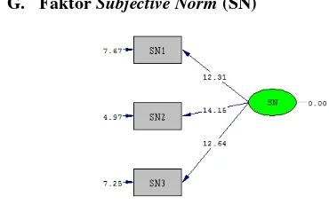 Gambar 9. Analisa Faktor SN 