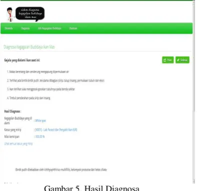 Gambar 5. Hasil Diagnosa 
