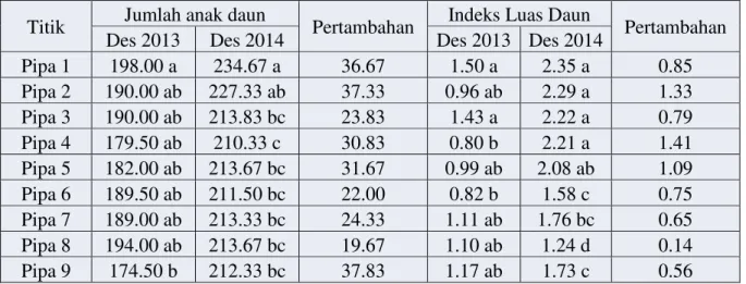 Tabel  2.Jumlah  anak  daun  dan  Indeks  Luas  Daun  kelapa  sawit  pada  Desember  2013  dan  Desember 2014