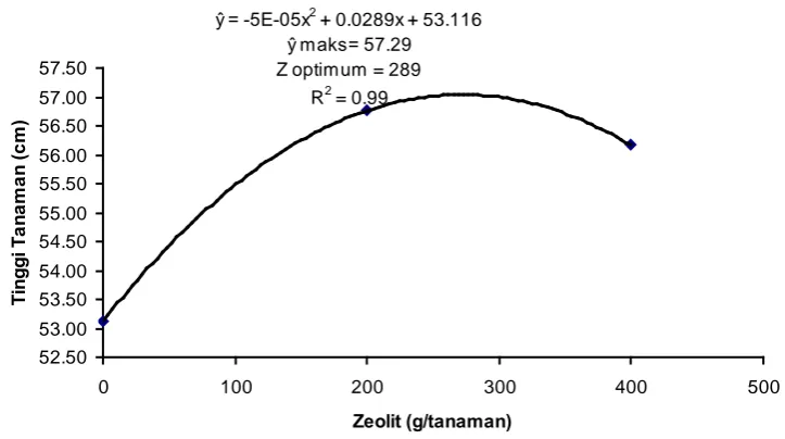 Gambar 1. Hubungan Tinggi Tanaman 6 MST dengan Zeolit 