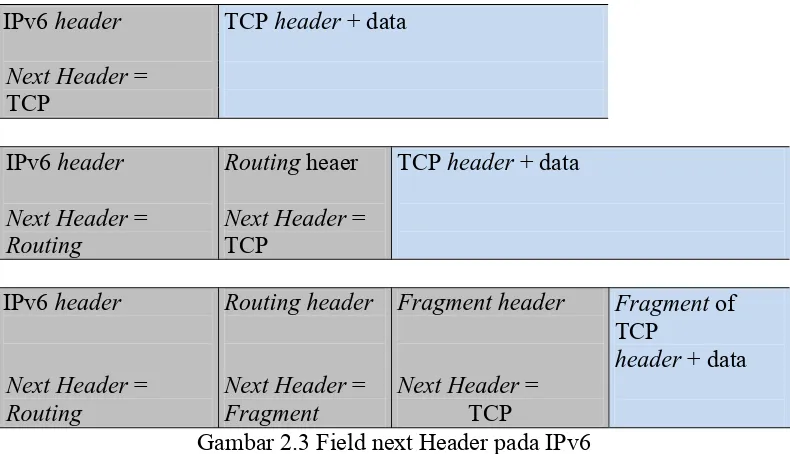 Gambar 2.3 Field next Header pada IPv6 