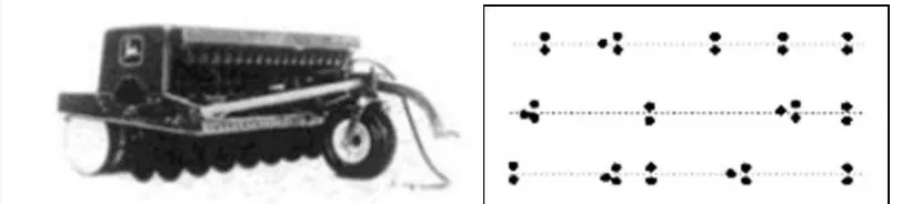 Gambar 2 Mesin tanam acak dan hasil penempatannya (Srivastava et al. 1996)