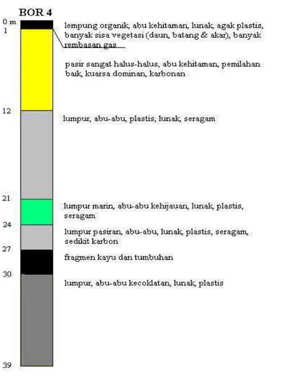 Gambar 5. Urutan sedimen dalam lingkungan pengendapan rawa-pantai 