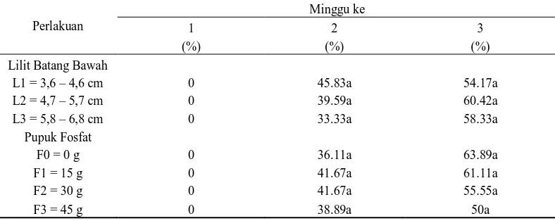 Tabel 2. Rataan persentase stum bertunas stum karet (%) dengan perlakuan lilit batang bawah dan pemberian pupuk fosfat pada 1 – 3 MST 