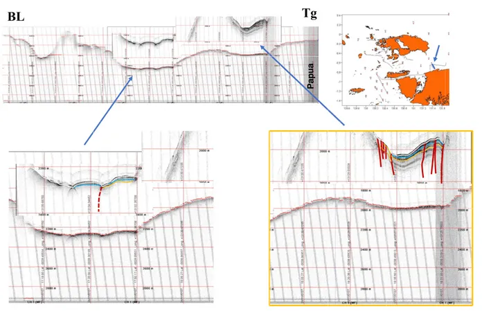 Gambar 5.  Penafsiran data SBP pada lintasan St.5-6 menunjukan struktur bunga positif di sisi daratan Papua akibat aktifitas sesar geser dimana lapisan /horizon permukaan terpotong sesar (garis merah)