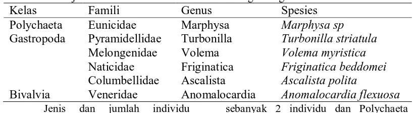 Tabel 1. Jenis-jenis Makrozoobenthos di Perairan Sungai Jang Selama Penelitian Kelas Famili Genus Spesies 