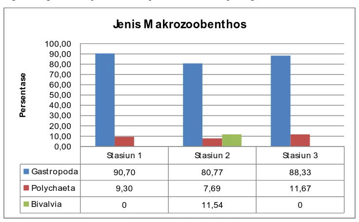 Gambar 2. Grafik Kelompok Makrozoobenthos pada Masing-masing Stasiun Penelitian 