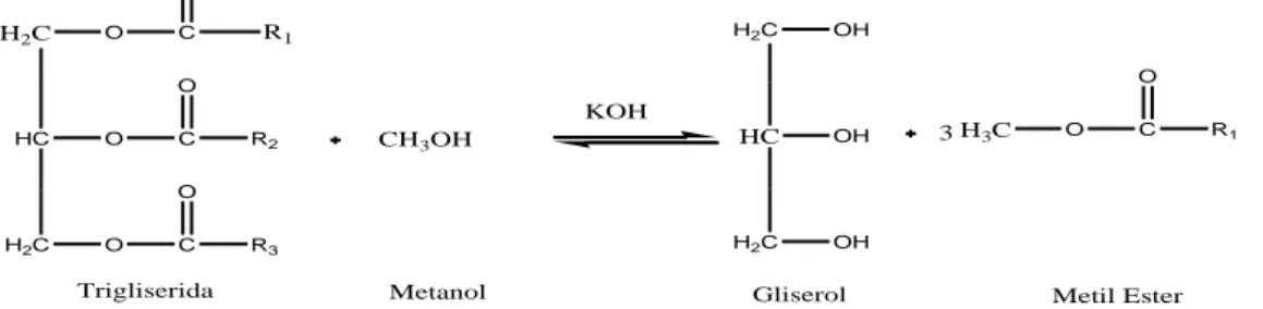 Gambar 1. Reaksi Esterifikasi ALB membentuk Ester (Hasahatan dkk., 2012). 