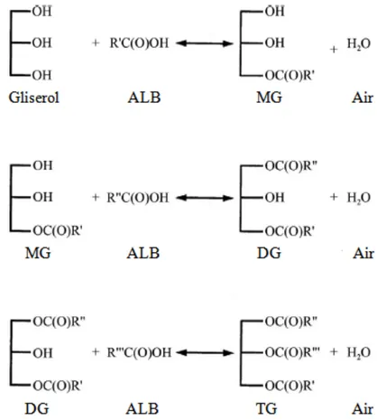 Gambar	 2	 menunjukkan	 pengaruh	 rasio	 mol	 gliserida	 dan	 PFAD	 terhadap	 kadar	 gliserida	 dan	 ALB	pada	waktu	reaksi	selama	72	jam,	suhu	reaksi	 60	 °C	 dan	 jumlah	 katalis	 lipase	 5	 %.	 Rasio	 mol	 antara	 gliserol	 dan	 PFAD	 memberikan	 pengaru