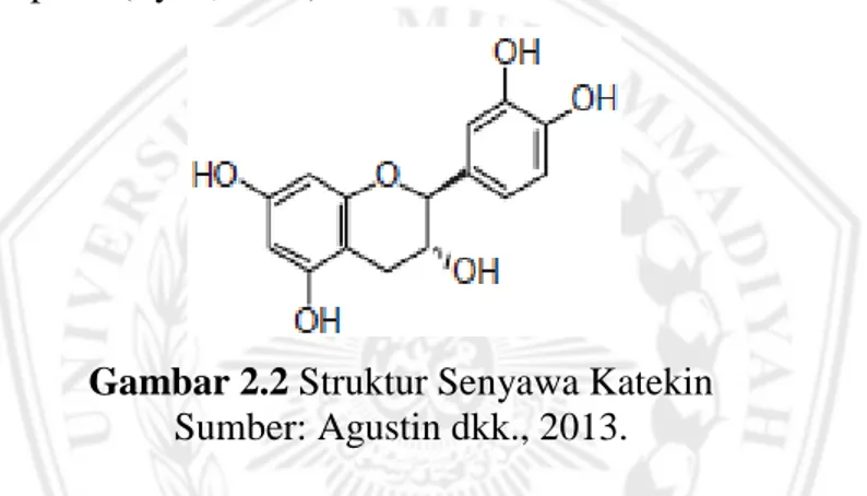 Gambar 2.2 Struktur Senyawa Katekin Sumber: Agustin dkk., 2013. 