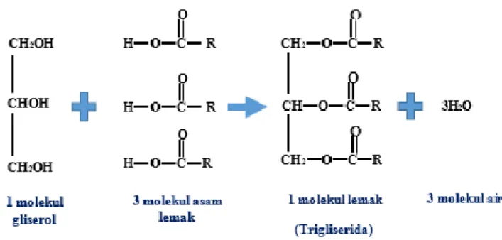 Gambar 1 .  Struktur molekul lemak [8]
