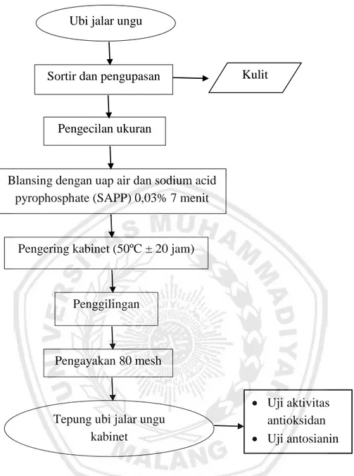 Gambar 3.Diagram Alir Pembuatan Tepung Ubi Jalar Ungu dengan Kabinet  (Husnah,  2010 dengan modifikasi) 