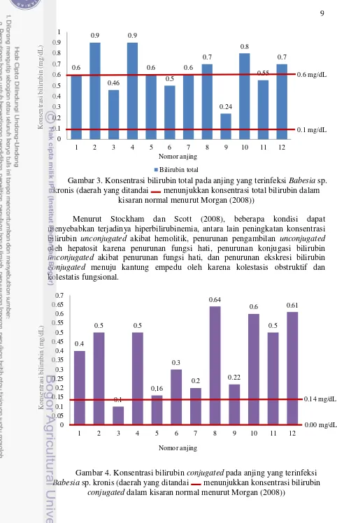 Gambar 4. Konsentrasi bilirubin conjugated Babesiapada anjing yang terinfeksi  sp. kronis (daerah yang ditandai  menunjukkan konsentrasi bilirubin conjugated dalam kisaran normal menurut Morgan (2008)) 