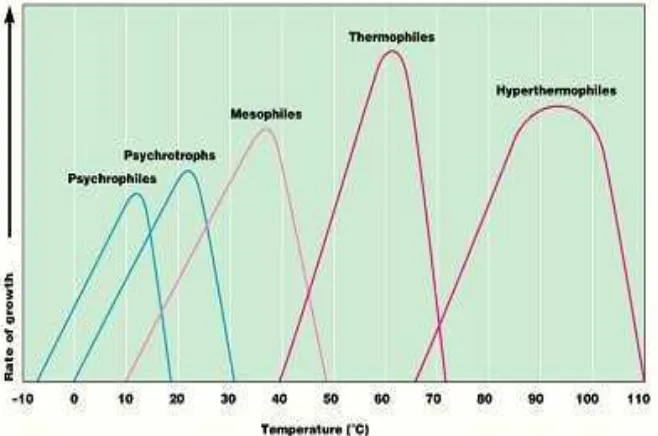 Grafik pertumbuhan mikroba pada berbagai kisaran suhu pertumbuhan  
