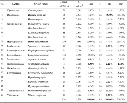 Tabel  4.5.    Data Kerapatan, Frekwensi dan Indeks Nilai  Penting Jenis Tumbuhan                        Paku pada Lokasi  4 (1500-1600 m dpl) di Hutan Aek Nauli 