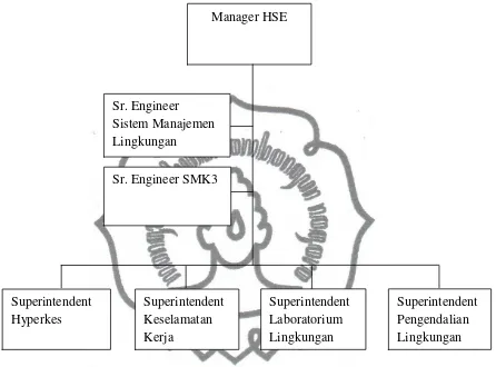 Gambar 7. Bagan Struktur Organisasi HSE (Sumber : Data Sekunder, 2011) 