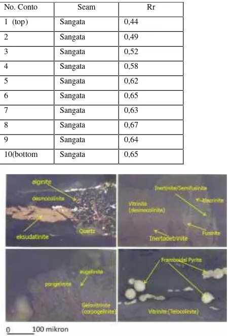 Tabel 1.  Nilai Reflektan Vitrinite random (Rr)Batubara Seam Sangata