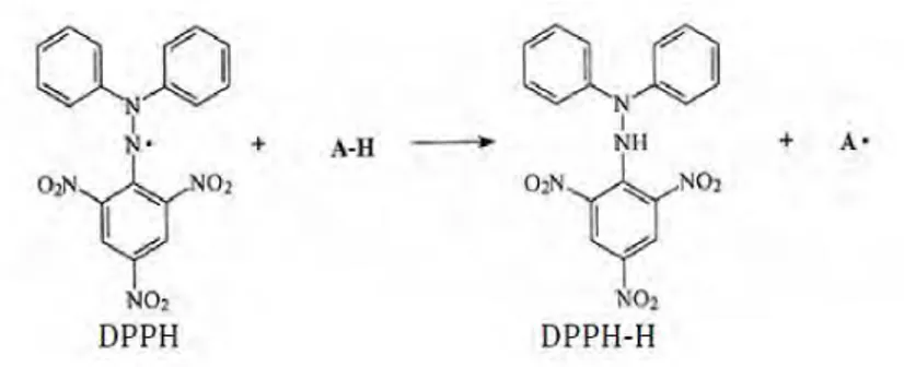 Gambar IV.1  Struktur DPPH Sebelum dan Sesudah Bereaksi  dengan Antioksidan 