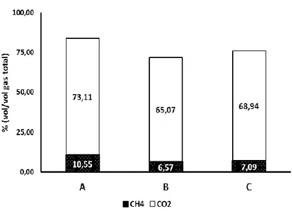 Gambar 2. Total produksi gas CH 4  dan CO 2  setelah 48 jam in vitro 