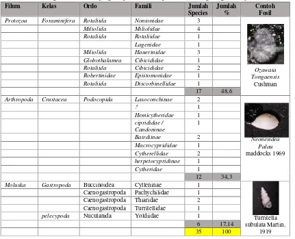 Tabel 3. Keragaman Mikrofosil yang didapatkan dari sampel 1 – 9 ( fosil digabungkan menjadi satu ).