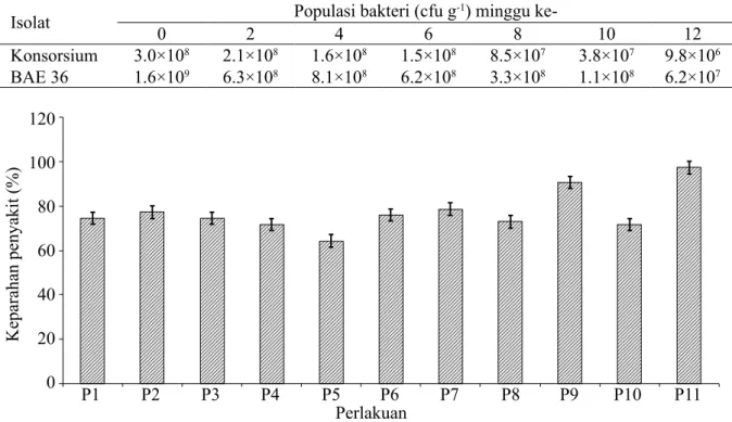 Tabel 1  Viabilitas sel bakteri konsorsium dan BAE 36 dalam formula