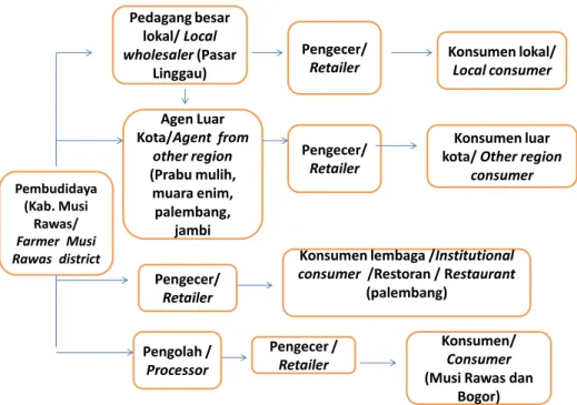 Tabel 6.    Harga Beli Awal Ikan Nila dan Margin Pemasaran Pedagang Besar Lokal, Agen Luar Kota,                    Pedagang Pengecer di Kabupaten Musi Rawas, Sumatera Selatan, 2012.