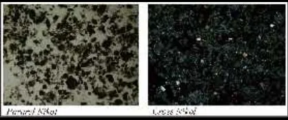 Gambar 2. Kenampakan sayatan tipis batupasir di bawahmikroskop. (Sumber: Hendrikus A.Wutun, 2015)