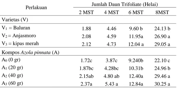 Tabel  2.  Rata-  rata  Jumlah  Daun  Trifoliate  (Helai)Kedelai  pada  Perlakuan  Penggunaan  Beberapa  Varietas Kedelai Akibat Pemberian Kompos Azolla pinata 