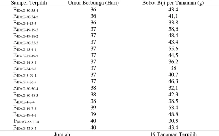 Tabel  2.  Sampel  nomor  tanaman  terpilih  ditinjau  dari  barisan  terbaik  berdasarkan  karakter  umur  genjah dan produksi tinggi dari populasi F 4 