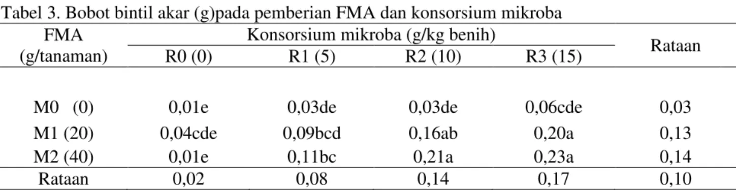 Tabel 3. Bobot bintil akar (g)pada pemberian FMA dan konsorsium mikroba  FMA 