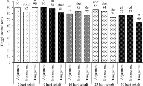 Gambar 1. Pengaruh interaksi 3 varietas kedelai dengan interval irigasi yang berbeda terhadap tinggi tanaman  pada 10 MST