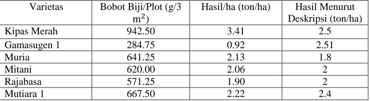 Tabel  6.    Perbandingan  Bobot  Biji/plot,  Produksi/ha  dan  Produksi  Menurut  Deskripsi  Tanaman 