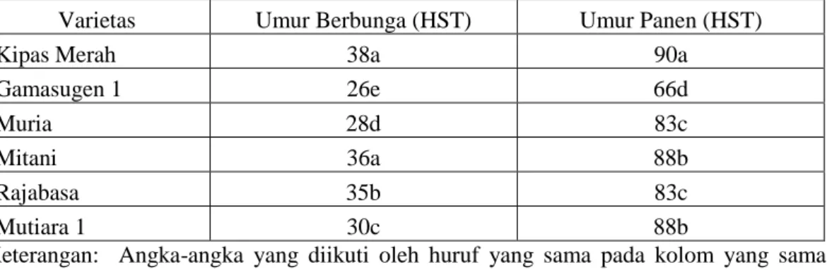 Tabel  7  menunjukkan  bahwa  Gamasugen  1  memiliki  umur  berbunga  paling  cepat  (26  HST)  dibandingkan  dengan Kipas Merah (38 HST), Muria (28  HST),  Mitani  (36  HST),  Rajabasa  (35  HST)  dan  Mutiara  1  (30  HST)