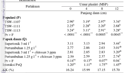 Tabel 3  Rata-rata panjang daun planlet anggrek Phalaenopsis selama tahap 