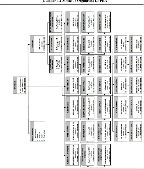 Gambar 1.1 Struktur Organisasi DPPKA 