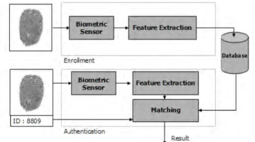 Diagram pada  Gambar 2. 1  mengilustrasikan dua mode pada  sistem  biometrik  yaitu  verifikasi  dan  identifikasi