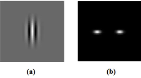 Gambar 2. 3 Gambar (a) contoh 2D gabor filter pada bidang spasial   dan Gambar (b) contoh 2D gabor filter pada bidang frekuensi  