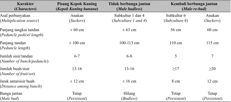 Tabel 4.  Perbedaan karakter morfologi bunga jantan pada pisang kepok Unti  Sayang (US-1) (The different 