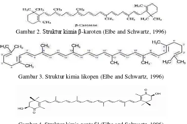Gambar 4. Struktur kimia xantofil (Elbe and Schwartz, 1996) 