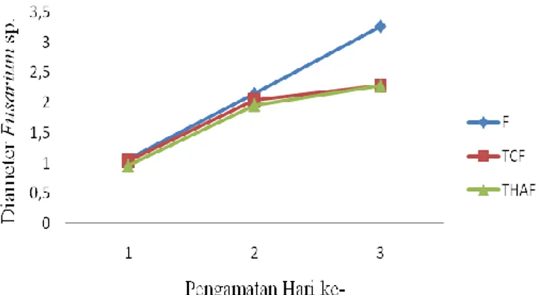 Gambar  6.  Pertumbuhan  Fusarium  sp.  (F=  Pertumbuhan  Fusarium  sp.  pada  control,  TCF  =  Pertumbuhan Fusarium sp