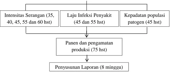 Ilustrasi 3. Tahapan penelitian 