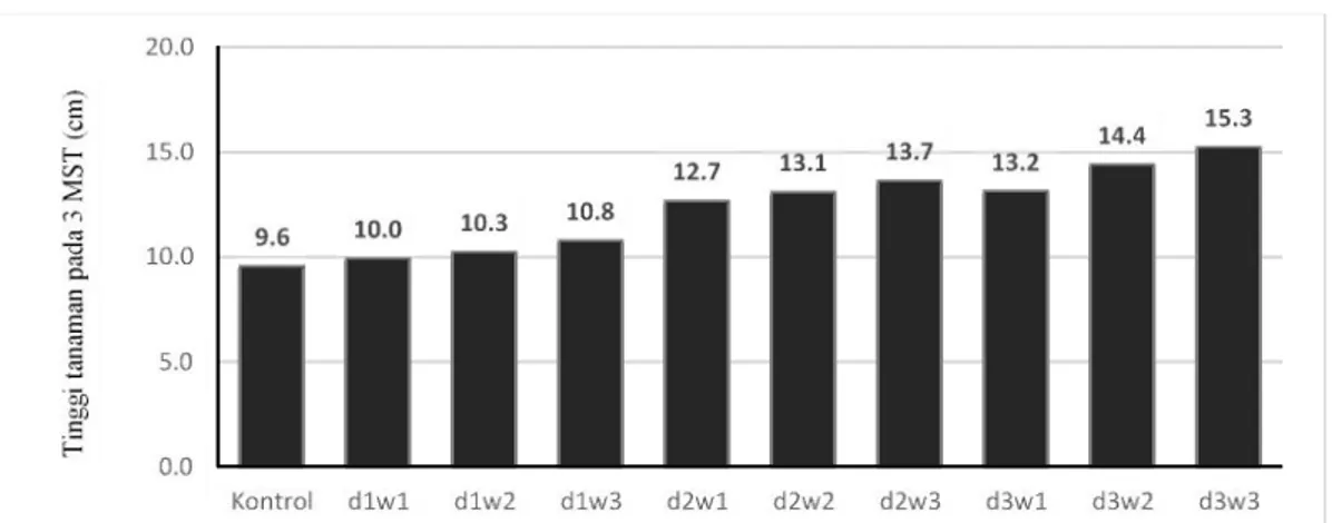 Gambar 1  Pengaruh agen hayati Azoto-Tricho dan waktu aplikasi berbeda terhadap tinggi tajuk cabai pada 3 MST