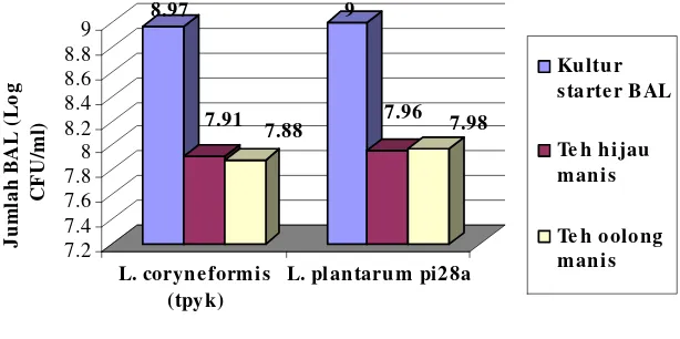 Gambar 3. Jumlah BAL pada kultur starter dan teh 