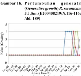 Gambar 1b.   Pertumbuhan    generatif  (Generative growth) R. seranicum  J.J.Sm. (E200408219/N.116-116a  /dd
